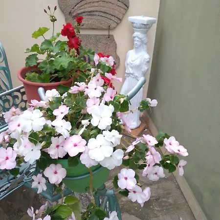 Irida * Potos