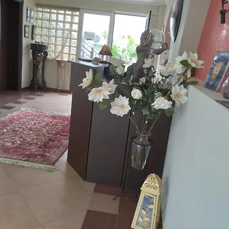 Apartment Irida