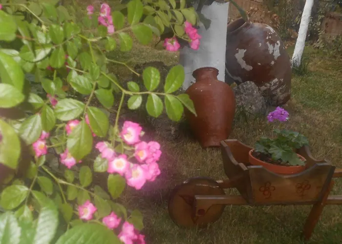 艾里达公寓 公寓